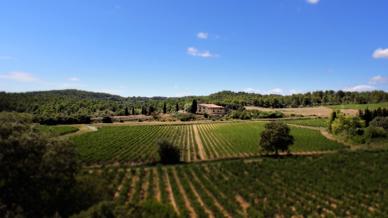 Photo of Outdoor in Laure-Minervois