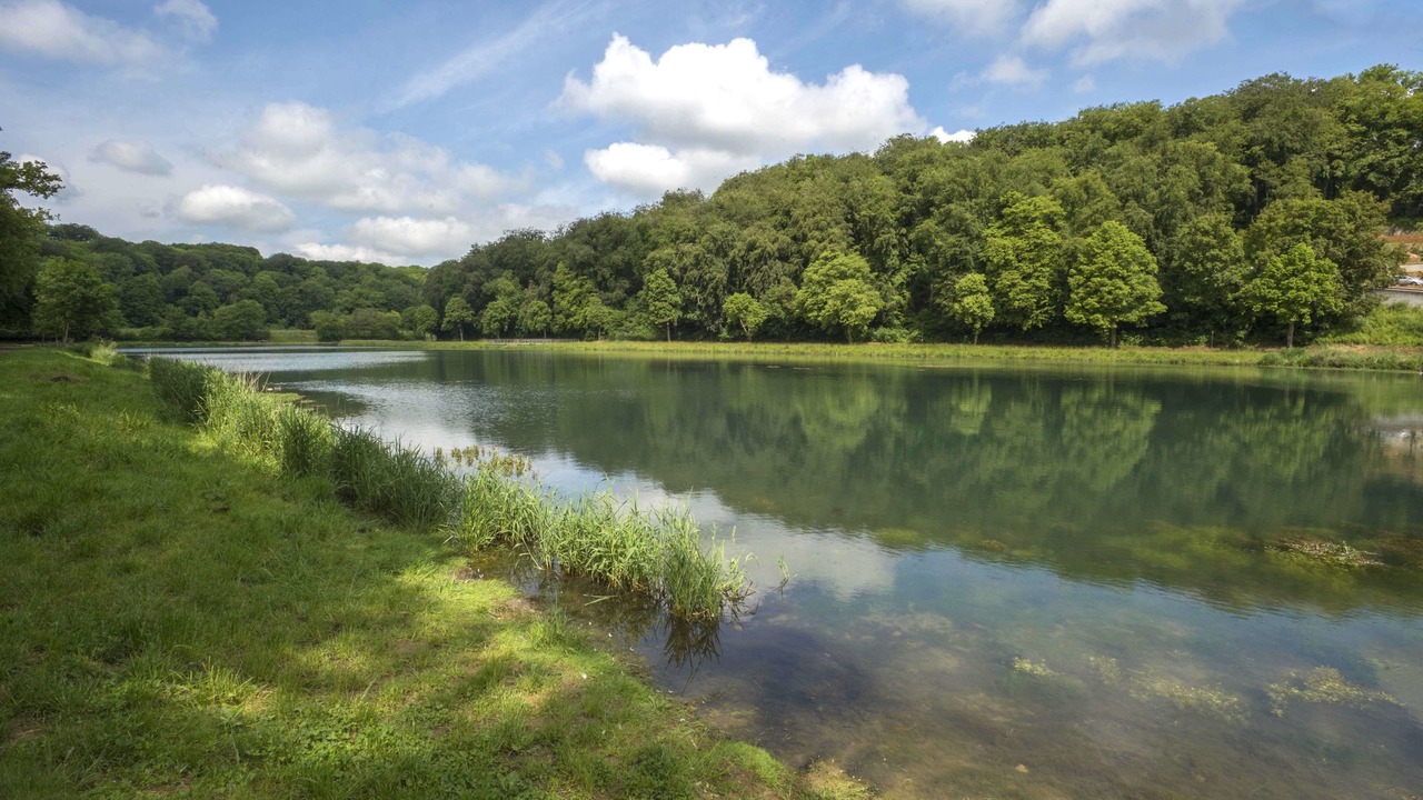 Photo of Others in Briey