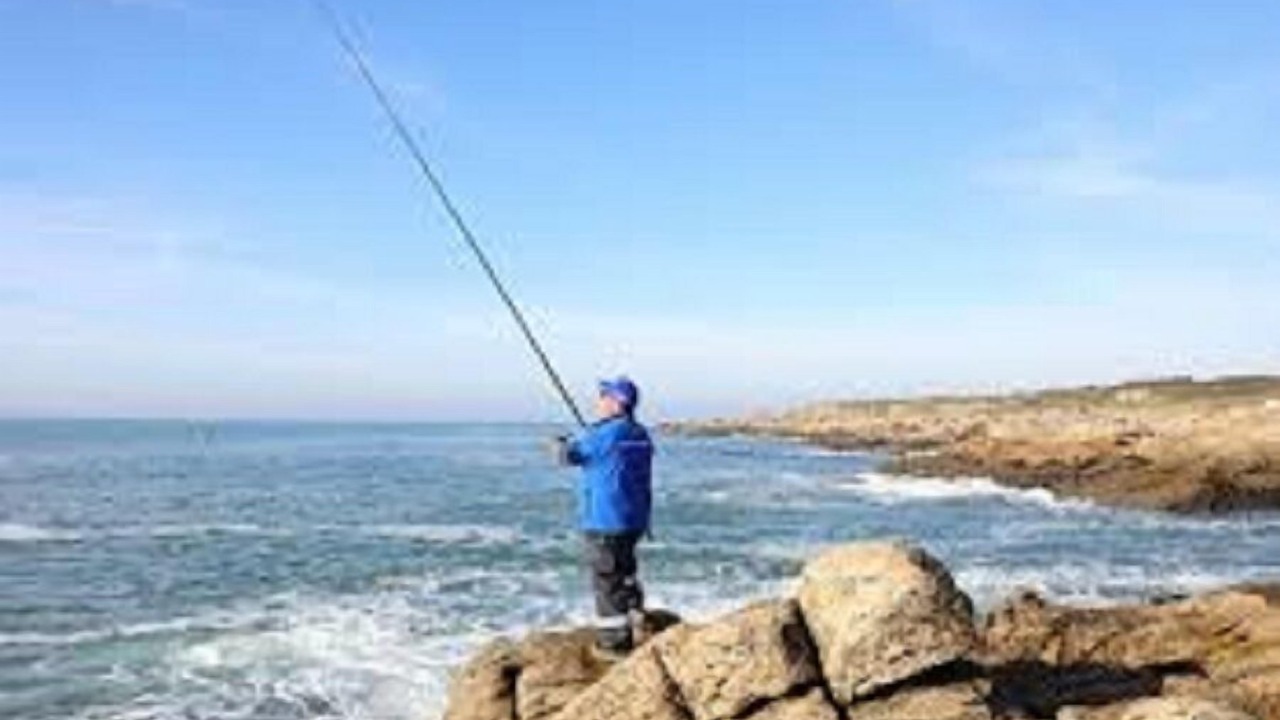 Photo of Others in Saint-Vaast-la-Hougue