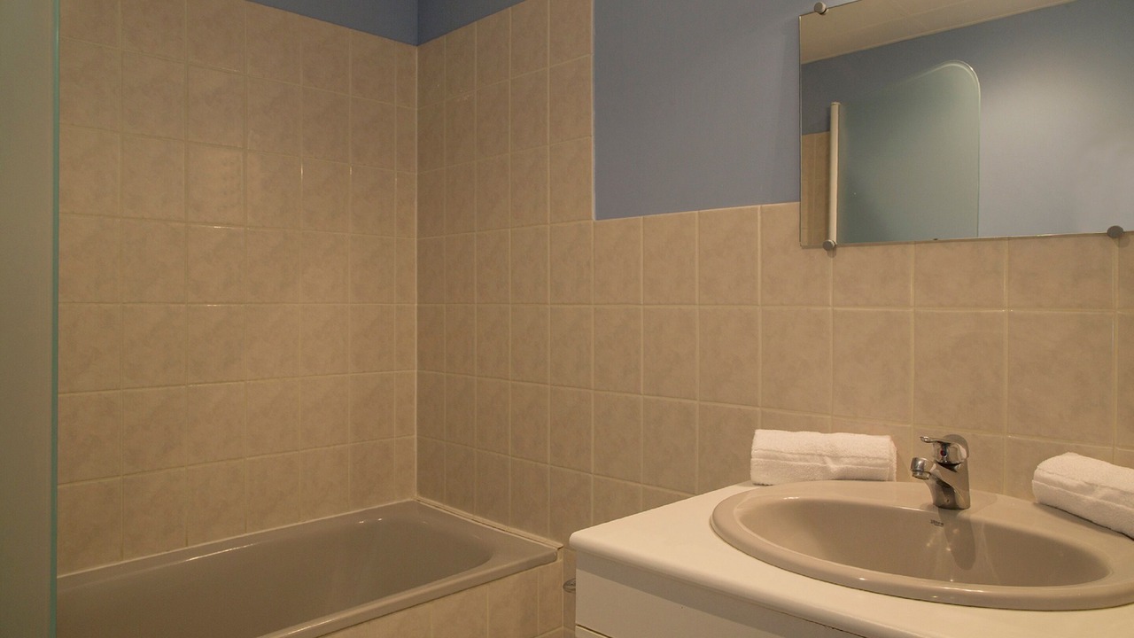 Photo of Bathroom in Chinon