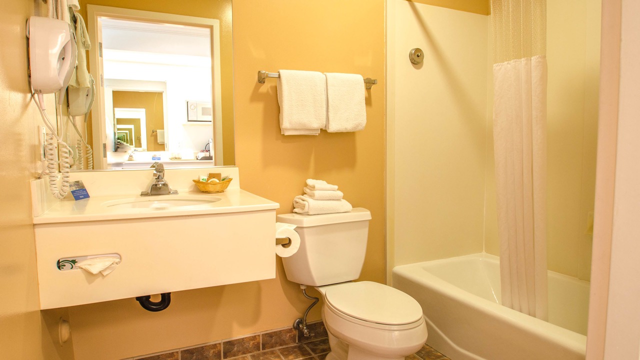 Photo of Others in Westside Santa Cruz