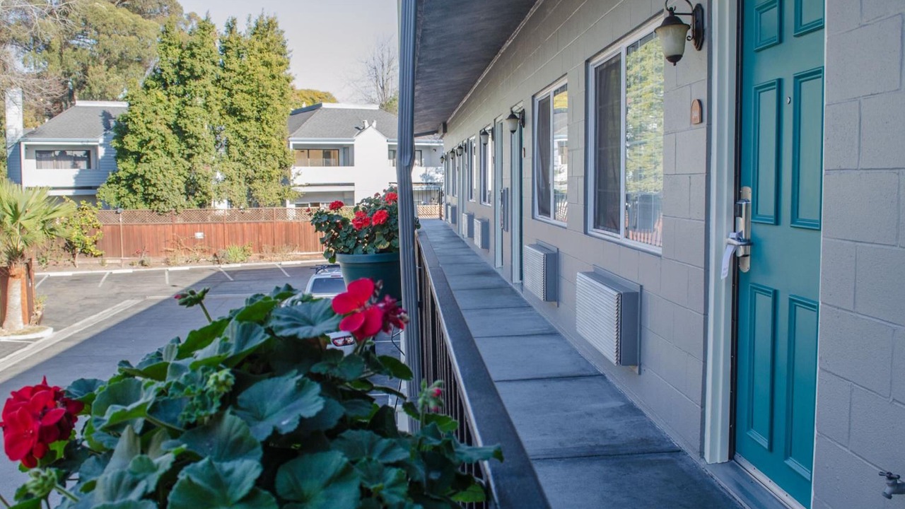 Photo of Outdoor in Westside Santa Cruz