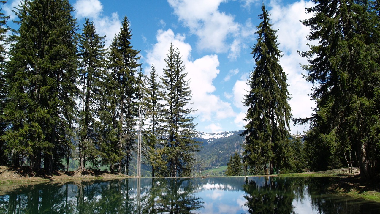 Photo of Outdoor in Praz-sur-Arly