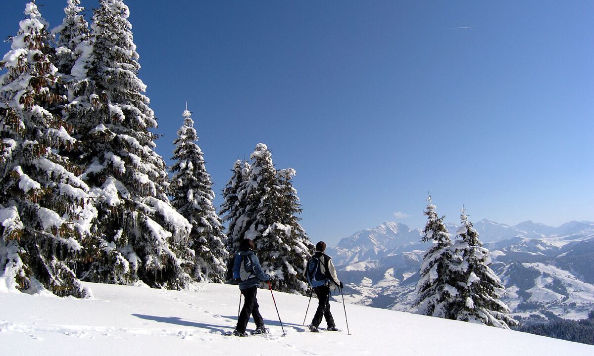Photo of Others in Praz-sur-Arly