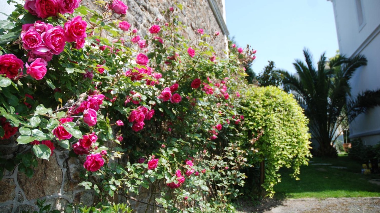 Photo of Outdoor in Saint-Servan