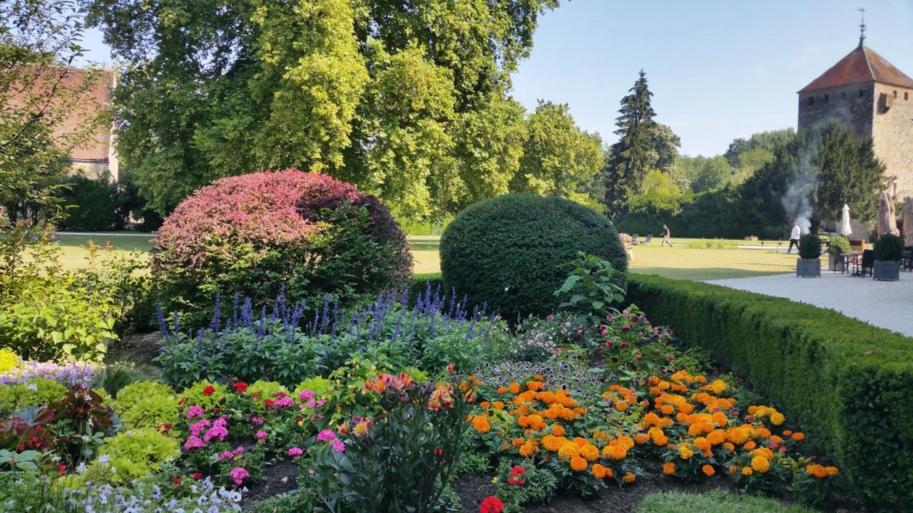 Photo of Outdoor in Vault-de-Lugny