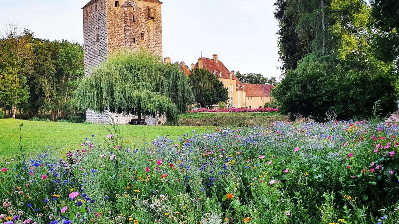 Photo of Outdoor in Vault-de-Lugny