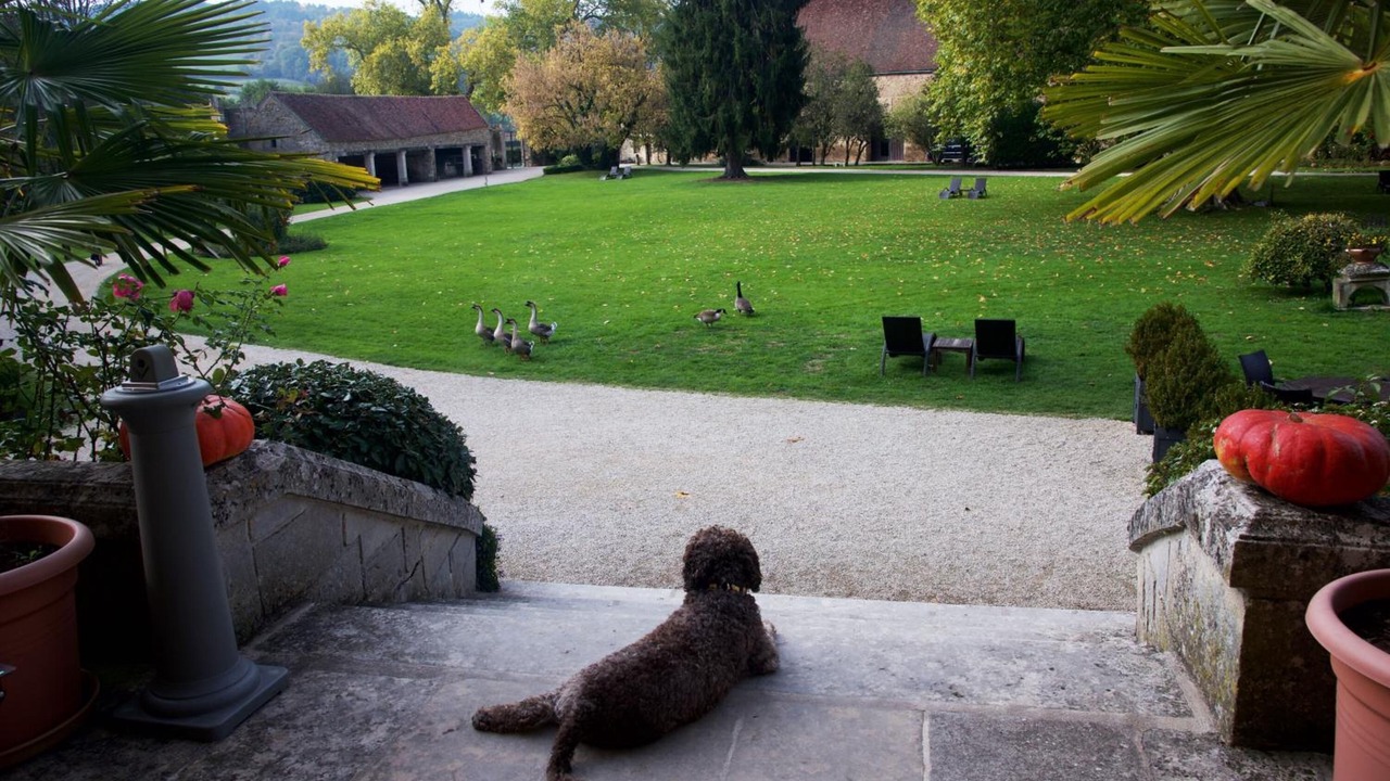 Photo of Outdoor in Vault-de-Lugny