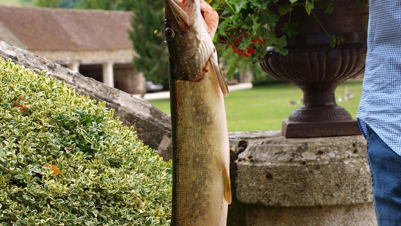 Photo of Others in Vault-de-Lugny