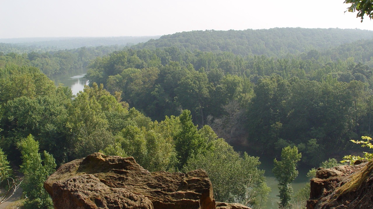 Photo of Others in Searcy