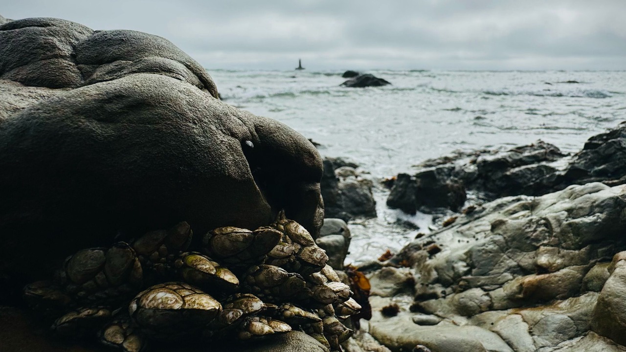 Photo of Others in Montara