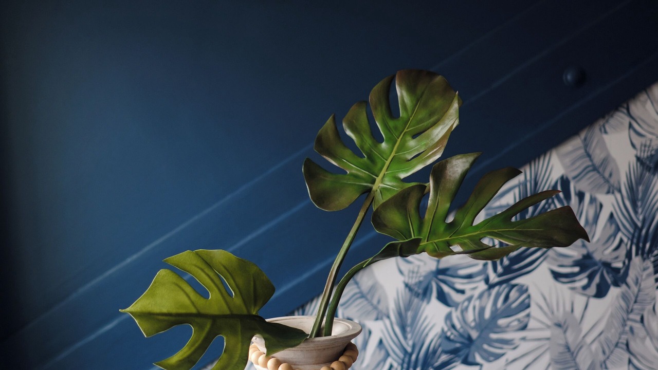 Photo of Bedroom in Montara