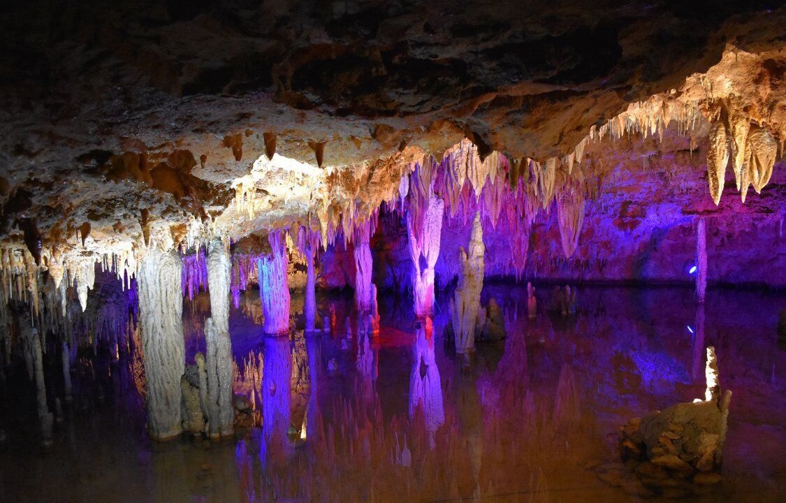 Photo of Others in St. Clair