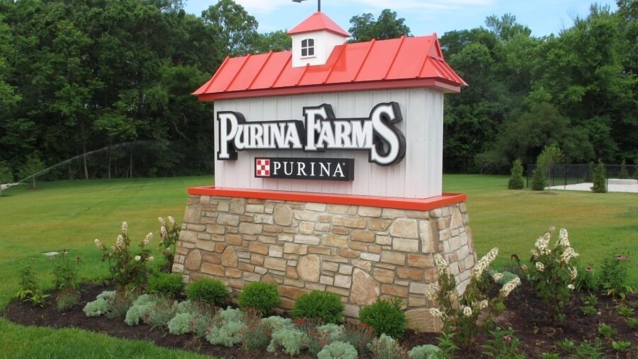 Photo of Others in St. Clair