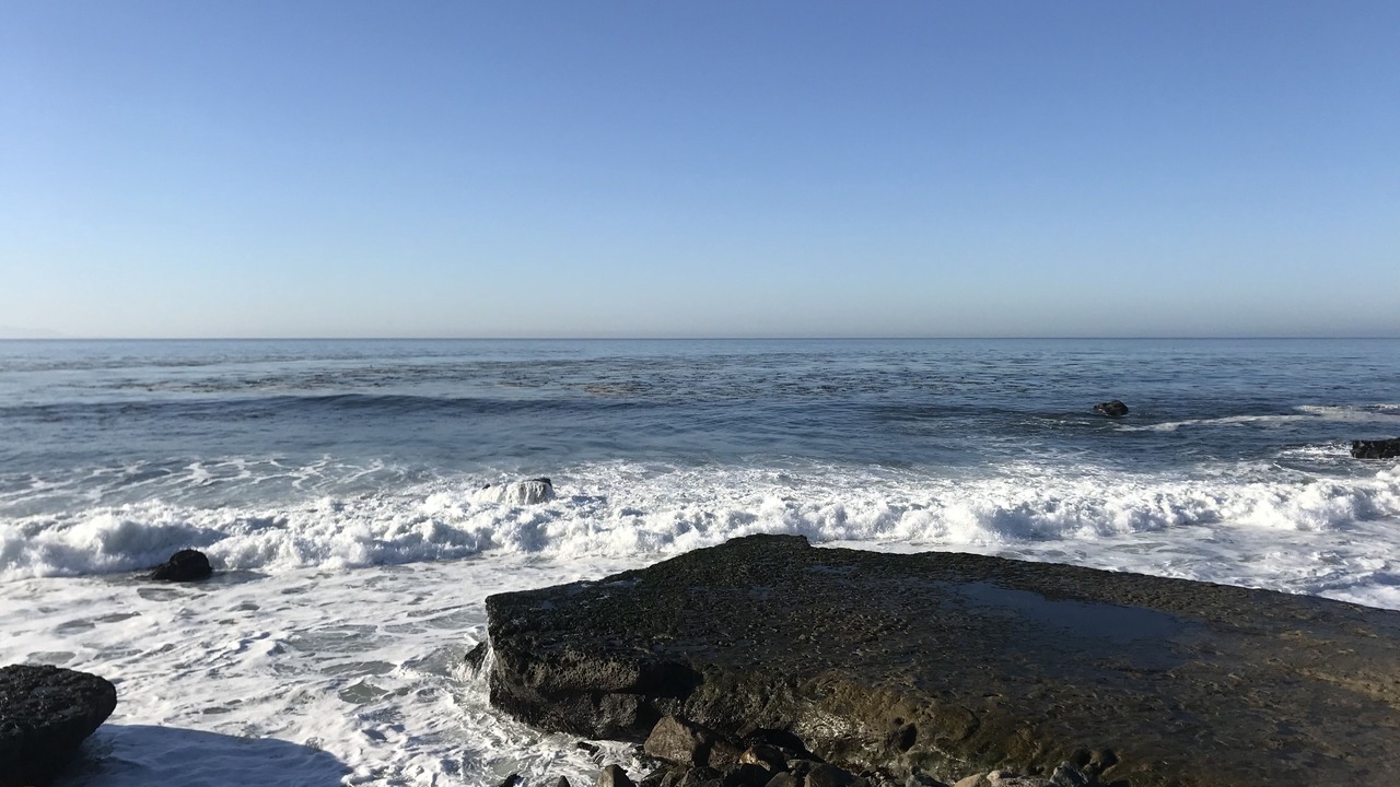 Photo of Others in Westside Santa Cruz