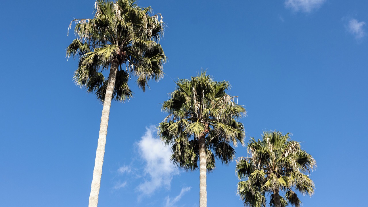 Photo of Outdoor in Westside Santa Cruz