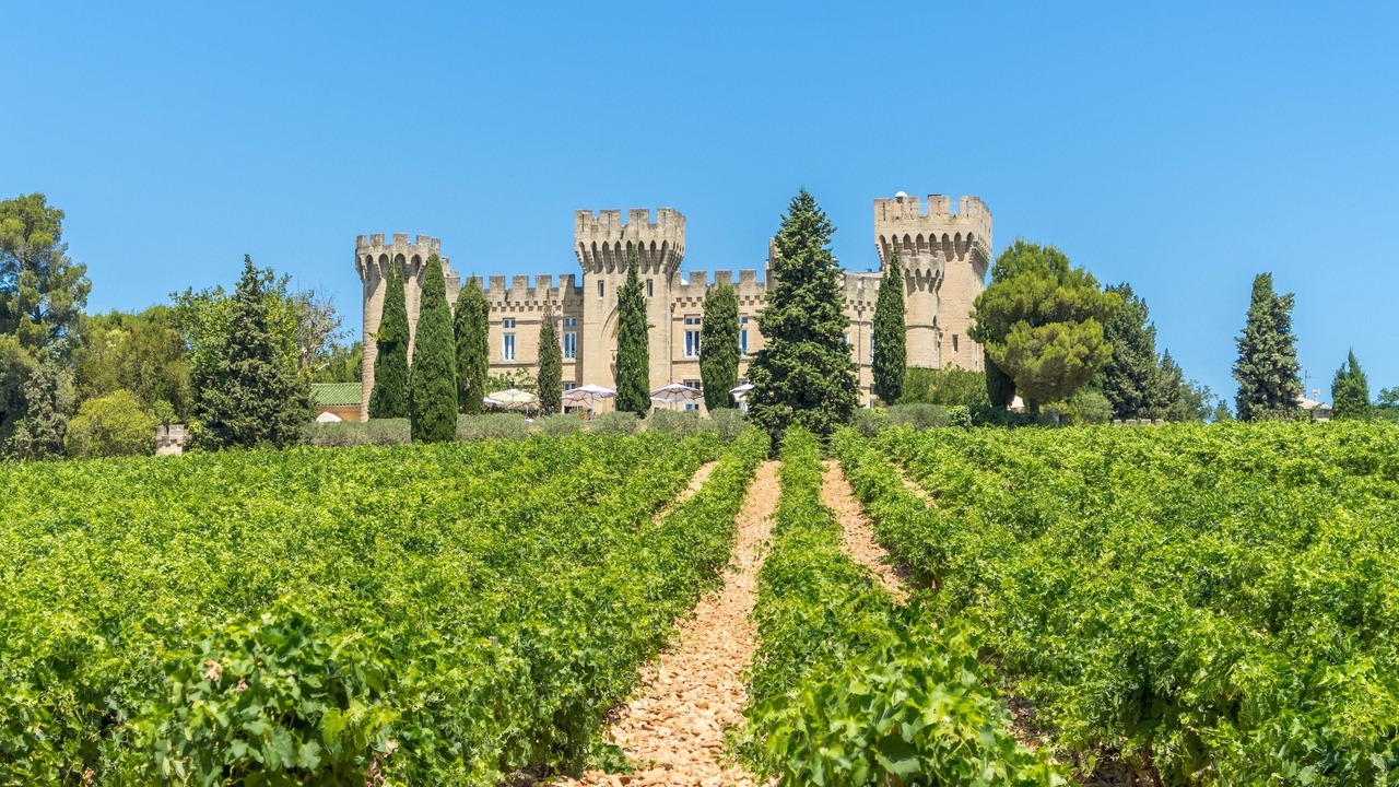 Photo of Outdoor in Chateauneuf-du-Pape