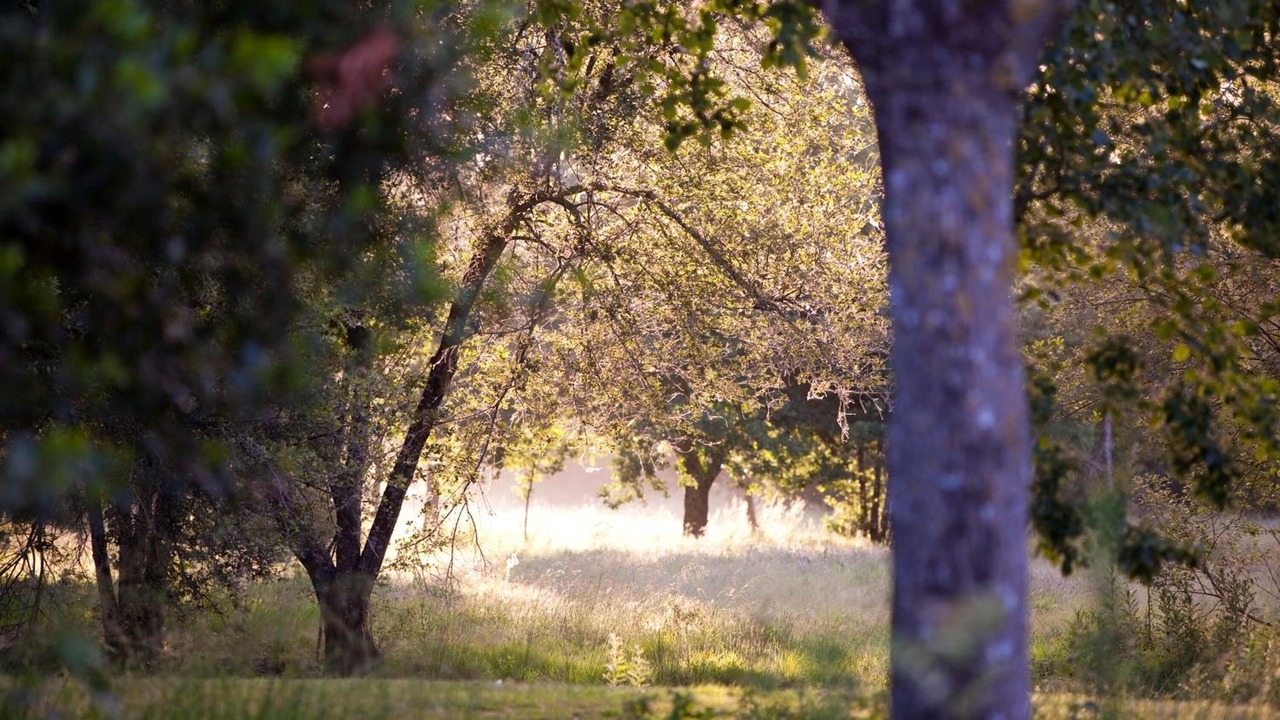 Photo of Outdoor in Challans