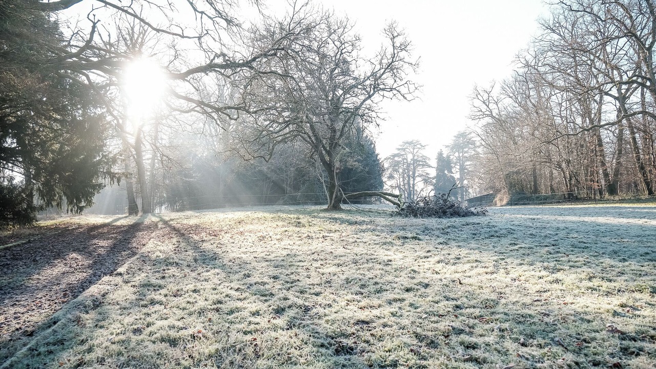 Photo of Outdoor in La Membrolle-sur-Choisille
