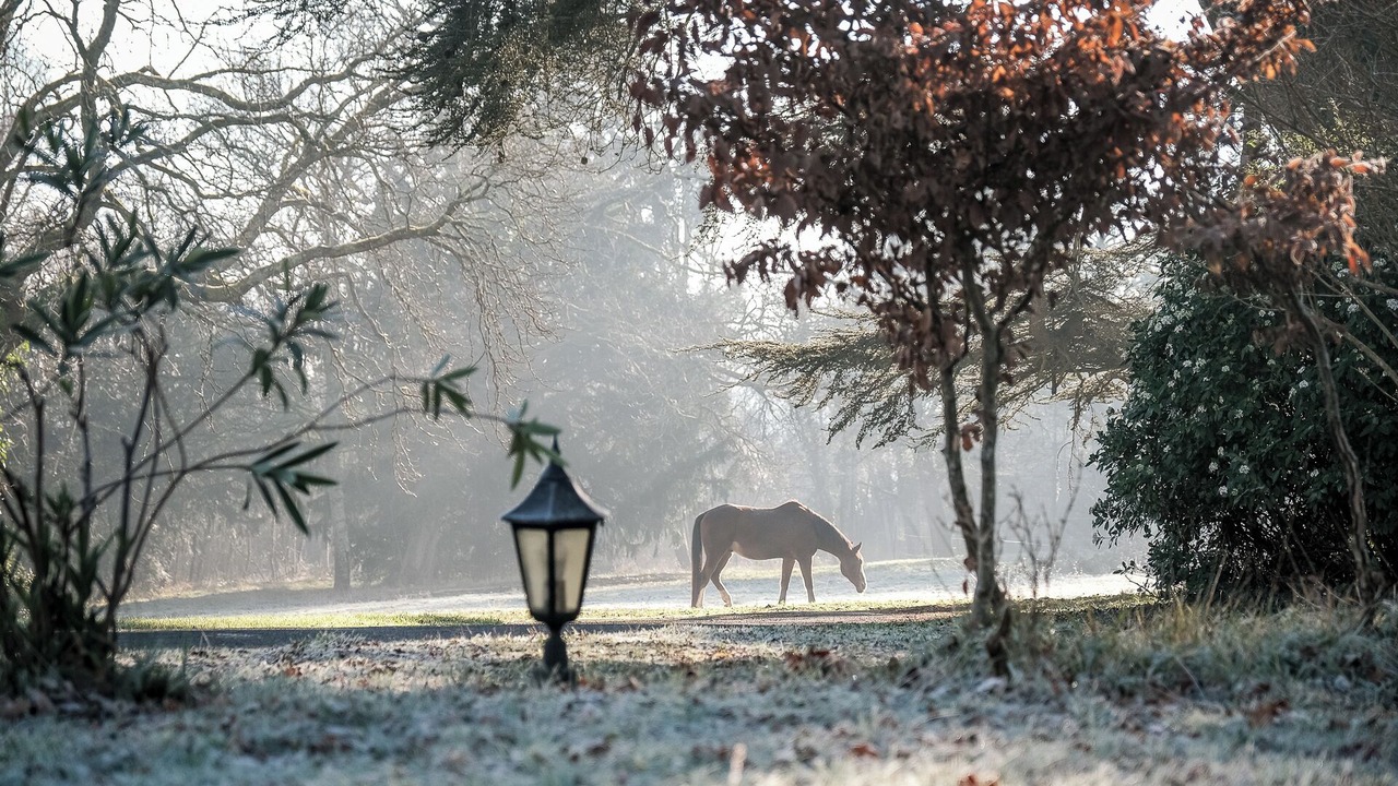 Photo of Outdoor in La Membrolle-sur-Choisille