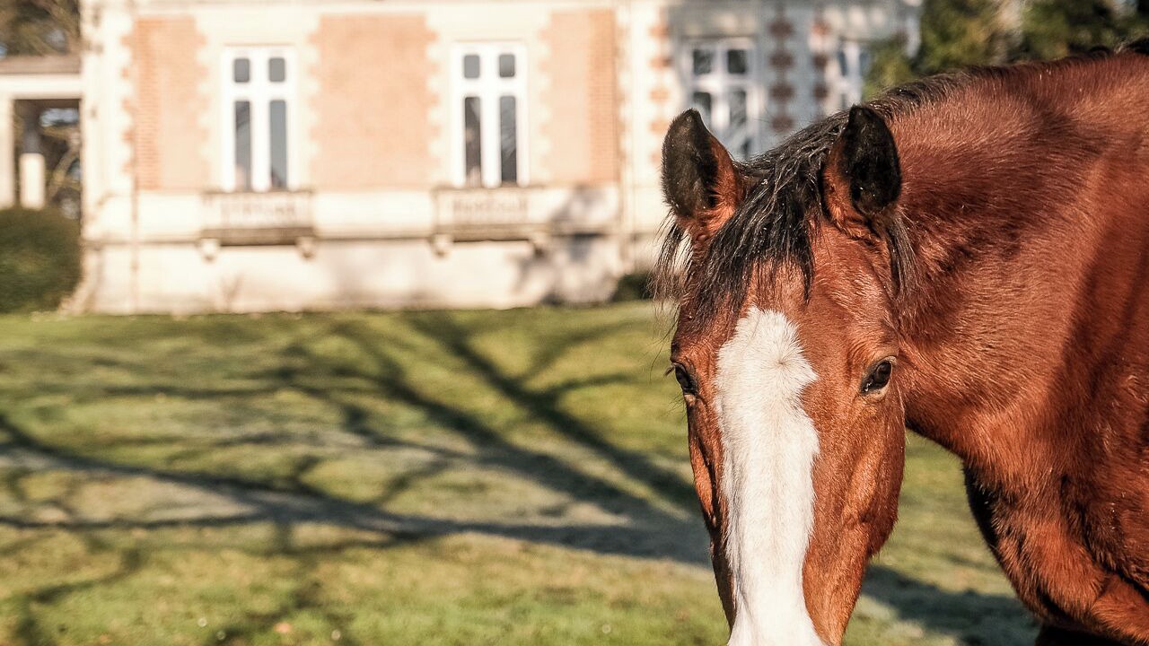 Photo of Outdoor in La Membrolle-sur-Choisille
