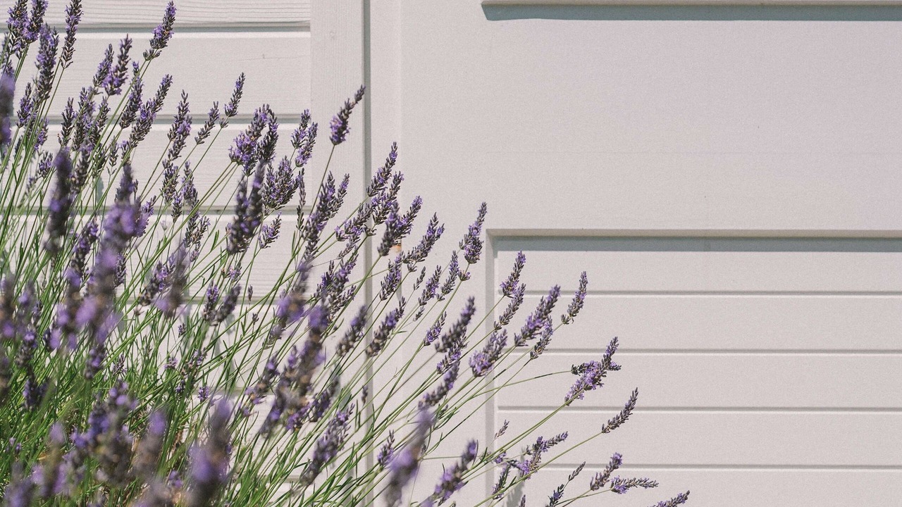 Photo of Outdoor in Combrit