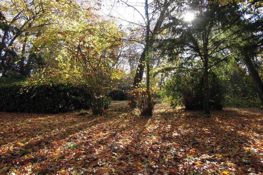 Photo of Outdoor in Saumur