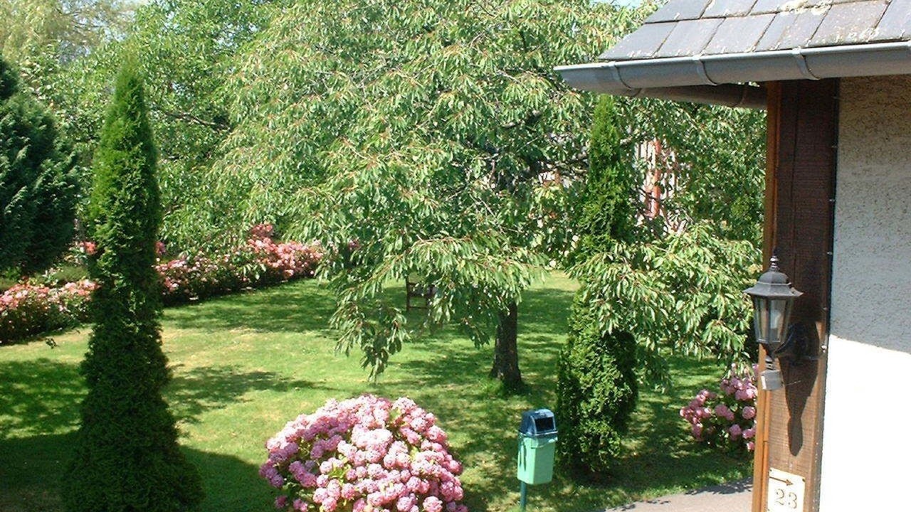 Photo of Outdoor in Saint-Gatien-des-Bois