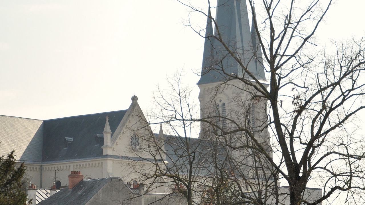 Photo of Others in Reims City Centre