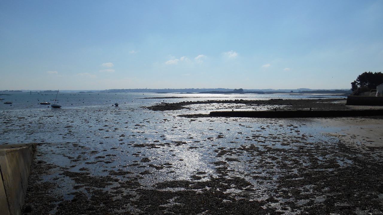 Photo of Others in Saint-Pol-de-Leon