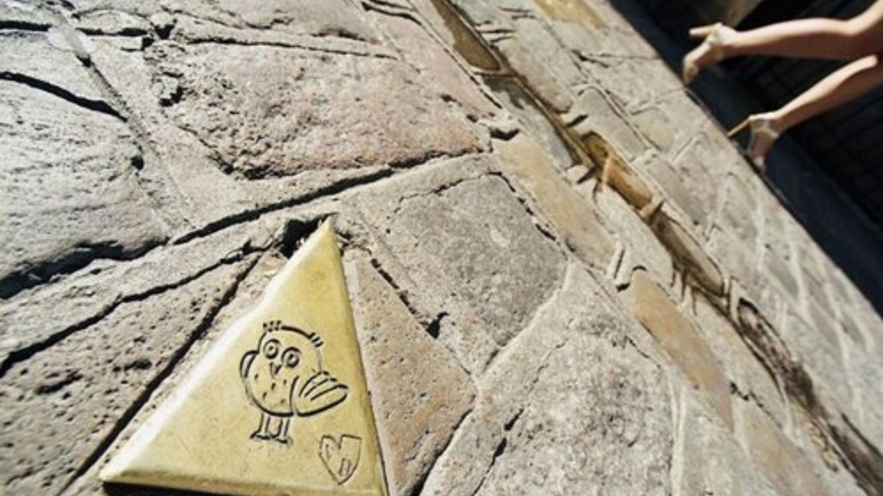 Photo of Others in Marsannay-la-Cote