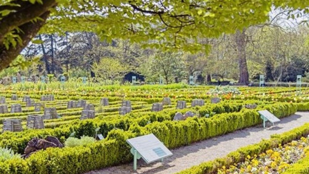 Photo of Others in Marsannay-la-Cote