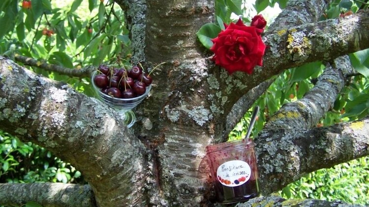 Photo of Outdoor in Saint-Laurent-Nouan