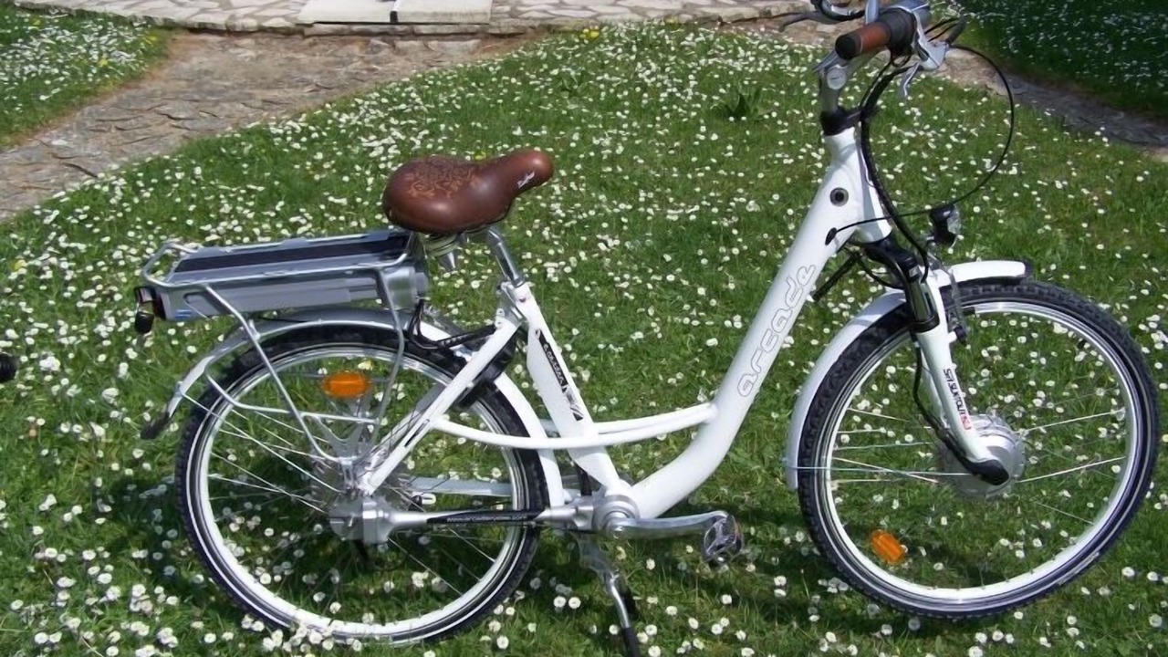 Photo of Outdoor in Saint-Laurent-Nouan