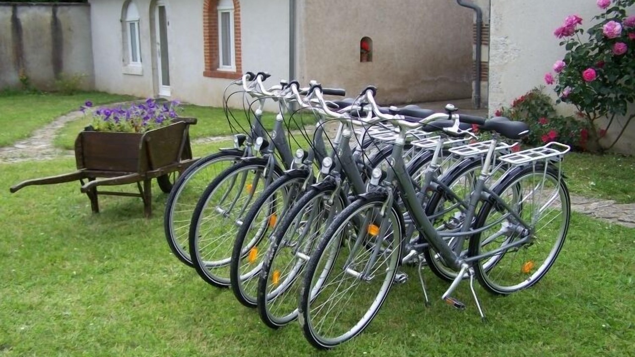 Photo of Outdoor in Saint-Laurent-Nouan