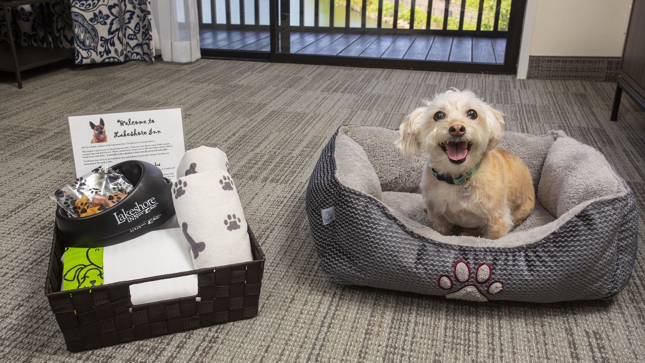 Photo of Others in Foothills