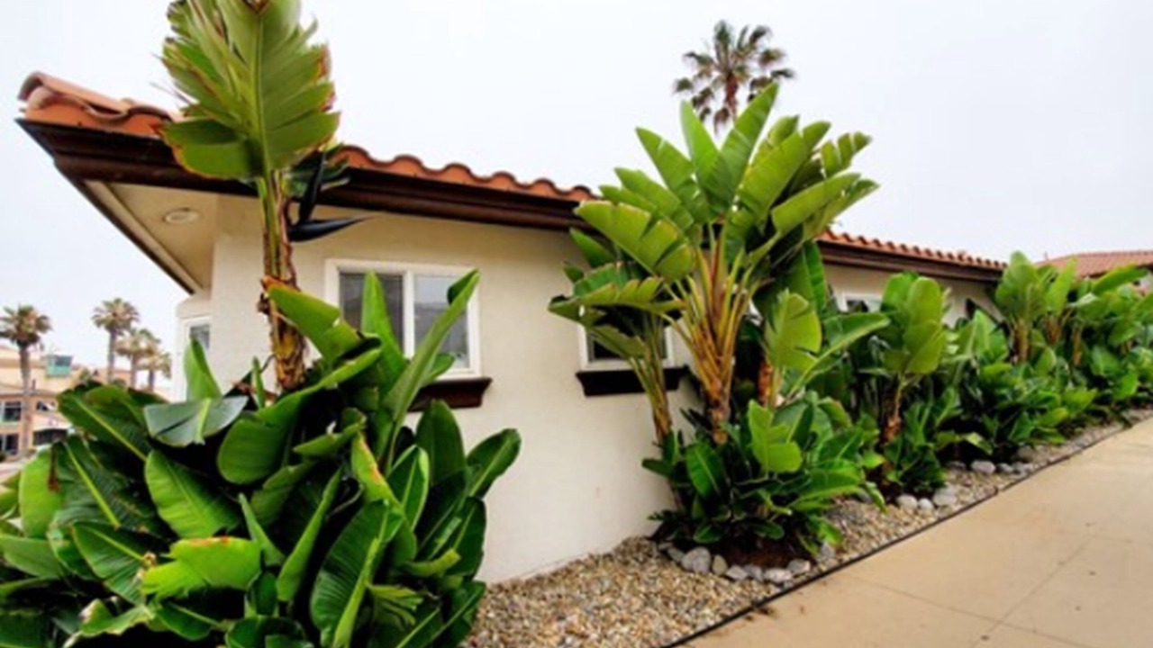 Photo of Outdoor in Imperial Beach