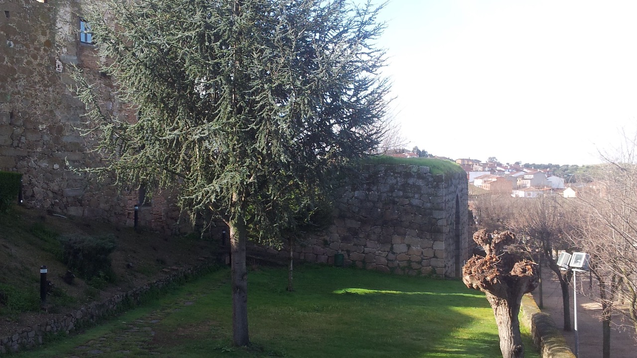 Photo of Outdoor in Oropesa