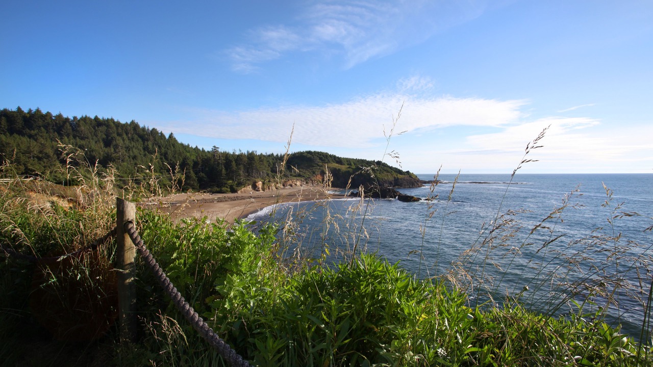 Photo of Others in Lincoln Beach