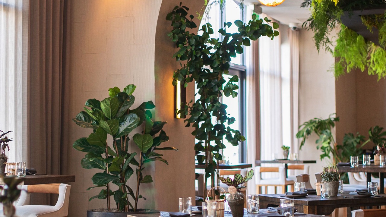 Photo of Others in South Beach