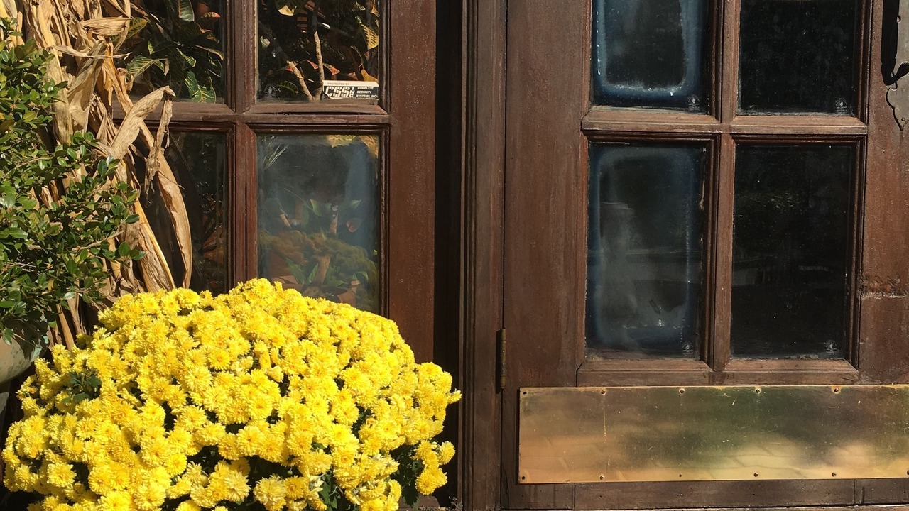 Photo of Outdoor in Colts Neck