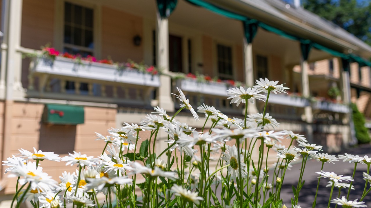 Photo of Outdoor in Rockport