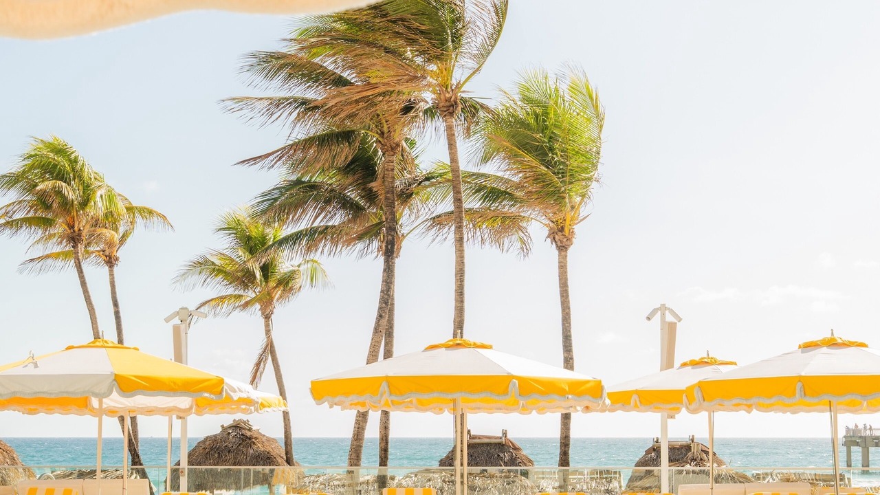 Photo of Outdoor in Sunny Isles Beach