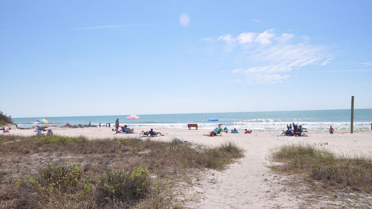 Photo of Others in Sarasota