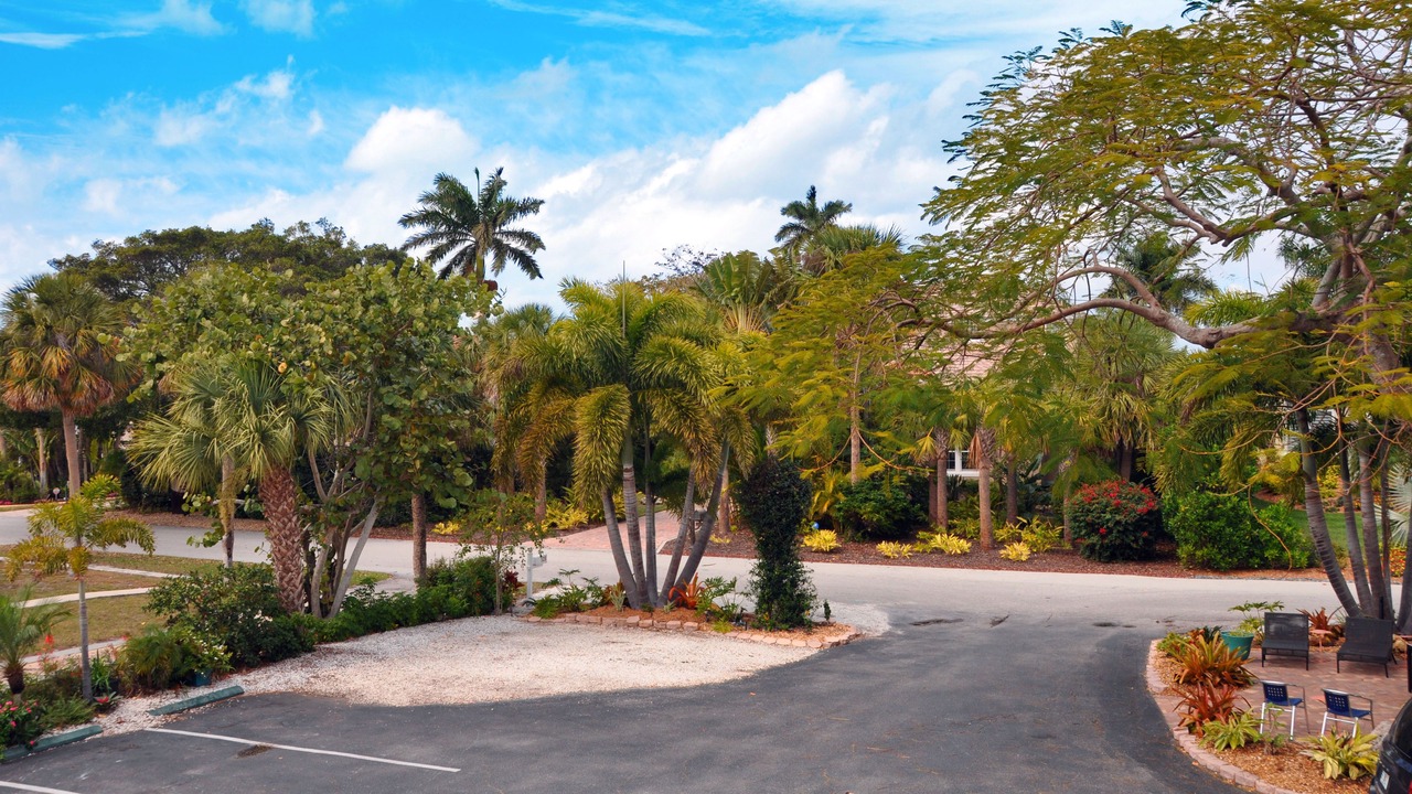 Photo of Others in Sarasota