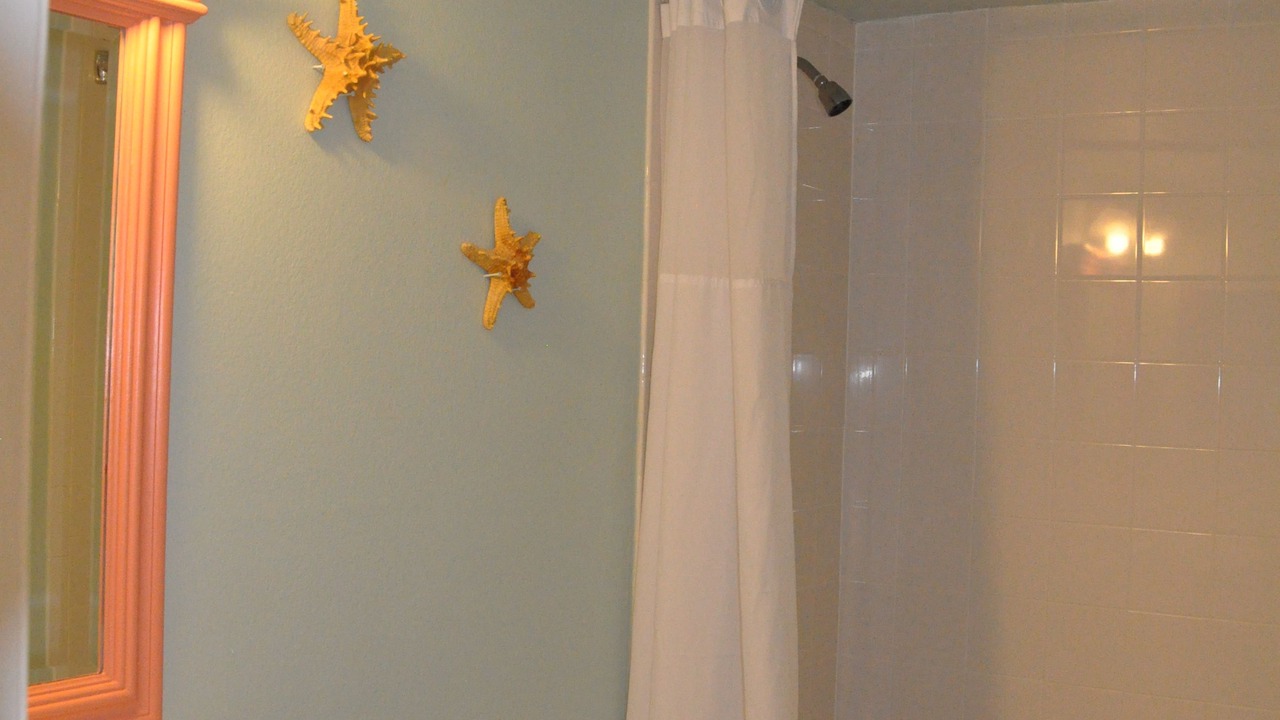 Photo of Others in Sarasota