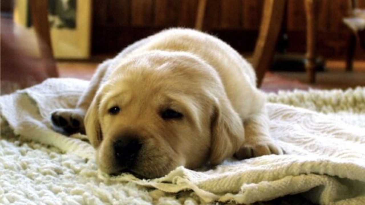 Photo of Others in Chambery