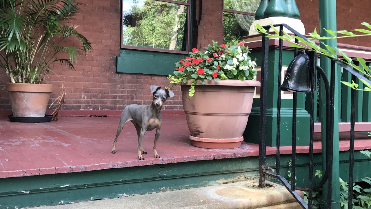 Photo of Outdoor in Spruce Hill