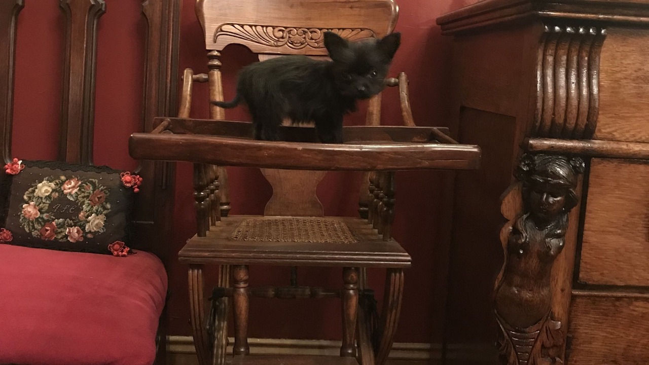 Photo of Others in Spruce Hill