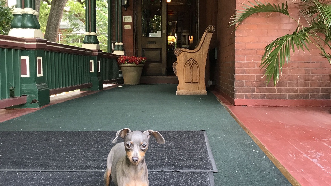 Photo of Outdoor in Spruce Hill